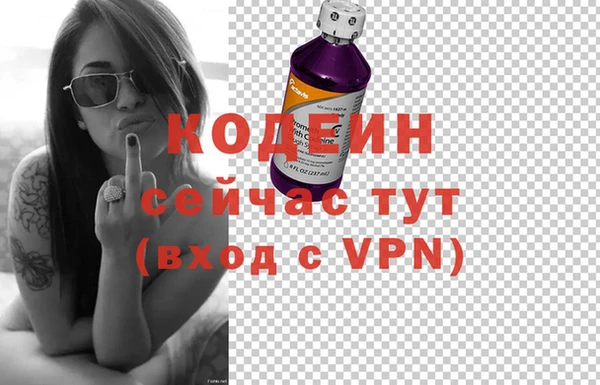 ГАЛЛЮЦИНОГЕННЫЕ ГРИБЫ Бородино